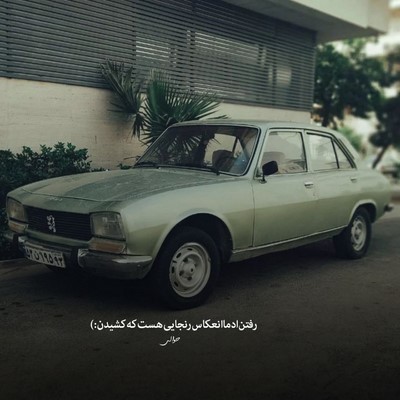 حصین دنیای گوهیه میدونی